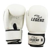 Legend Sports Kinder bokshandschoenen 4-8 jaar 4oz/6oz pu