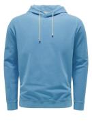 Filippo De Laurentiis Hoody