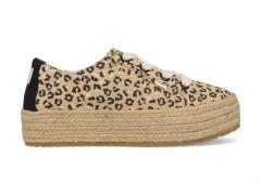 Toms Cheetah cassiah 10016308