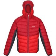 Regatta Heren harrock puffer jacket