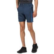 Regatta Heren highton pro shorts