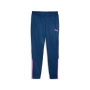 Puma teamliga training pants -