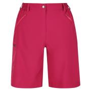 Regatta Dames xert stretch shorts