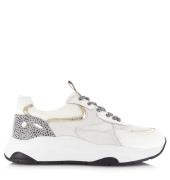 Poelman Lpiva-01poe1 sneaker white/platino lage sneakers dames
