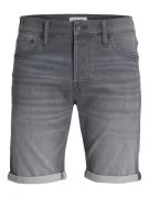 Jack & Jones 12249214 rick ge 370 heren jeans short