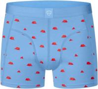 A-dam Boxer briefs blue tents