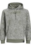 Jack & Jones Jcoaop luner sweat hood smu dessin