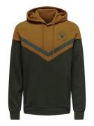 Only & Sons Onsnewwagner reg sweat hoodie cs dessin