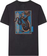 Nowadays T-shirt tiger soup faded black