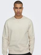 Only & Sons Onsdan unbrushed reg crew neck swea