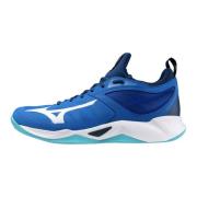 Mizuno wave dimension(u) -