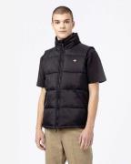 Dickies Vest dk0a4y2kblk1