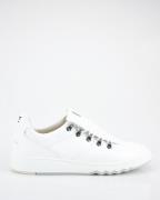 Floris van Bommel De kupster sneakers