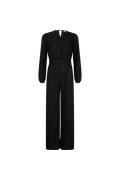 Lofty Manner Jumpsuit avah -