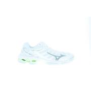 Mizuno wave voltage (w) -