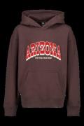 America Today Hoodie sergio hood jr