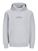 Jack & Jones Jjstairs sweat hood