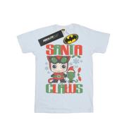 DC Comics Heren chibi catwoman kerstman klauwen t-shirt