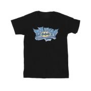 DC Comics Heren batman graffiti logo t-shirt