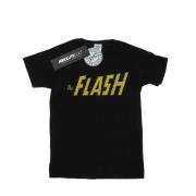 DC Comics Heren flash crackle logo t-shirt