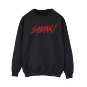 DC Comics Dames shazam fury of the gods spray paint logo sweatshirt