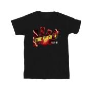 DC Comics Heren the flash pillars t-shirt