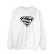 DC Comics Heren superman logo schets sweatshirt