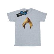 DC Comics Heren aquaman embleem t-shirt