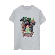 DC Comics Dames dc league of super-pets super powered pack katoenen vr...