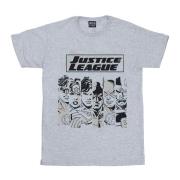 DC Comics Heren justice league gestreept t-shirt