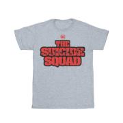 DC Comics Dames the suicide squad movie logo boyfriend t-shirt