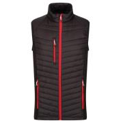 Regatta Heren navigate hybride body warmer