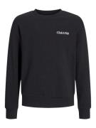 Jack & Jones Jjebradley graphic sweat crew.n jnr