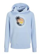 Jack & Jones Jjpalm sweat hood jnr