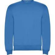 Roly Kinderen/kinderen clasica sweatshirt met ronde hals