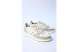 DL Sport 6527 sneakers