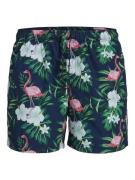 Jack & Jones Heren zwemshort jpstmaui flamingo print blauw