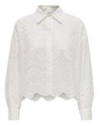 Only Blouse lange mouw 15269568