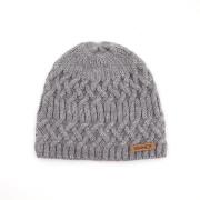 Sinner wren beanie -
