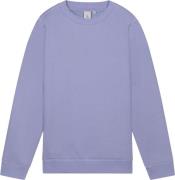 Law of the sea Hallucinate basic sweater