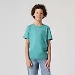 Levi's kinderen jongens t-shirts 3339.21.0056 mint