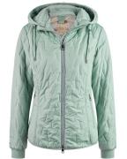 Lebek Jack 70710052