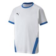 Puma Teamgoal 23 jersey voor kinderen/kinderen