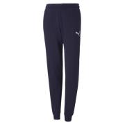 Puma Joggingbroek voor kinderen/kinderen team goal