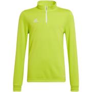 Adidas Kinderen/kinderen entrada 22 trainings sweatshirt