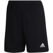 Adidas Dames entrada 22 trainingsbroek sweat shorts