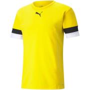 Puma Heren teamrise trui
