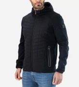 Falcon Stedman dark blue stedman n024