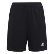 Adidas Kinderen/kinderen entrada 22 korte broek