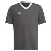 Adidas Kinderen/kinderen entrada 22 t-shirt